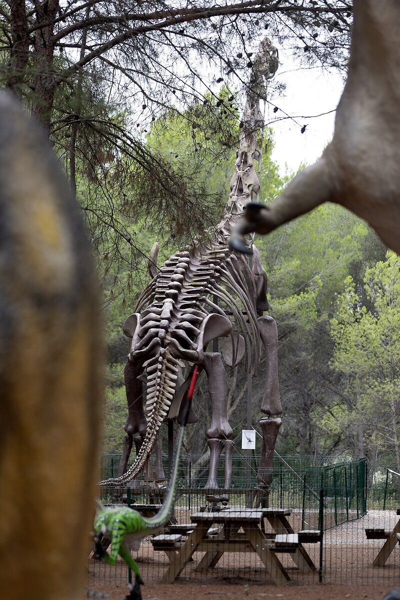 Fransa'da kendinizi Jurassic Park'ta hissettirecek müze: Dinozor ve Tarih Öncesi Müzesi 13