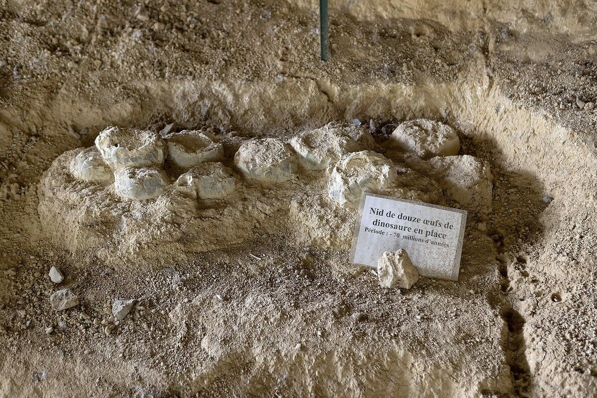 Fransa'da kendinizi Jurassic Park'ta hissettirecek müze: Dinozor ve Tarih Öncesi Müzesi 16