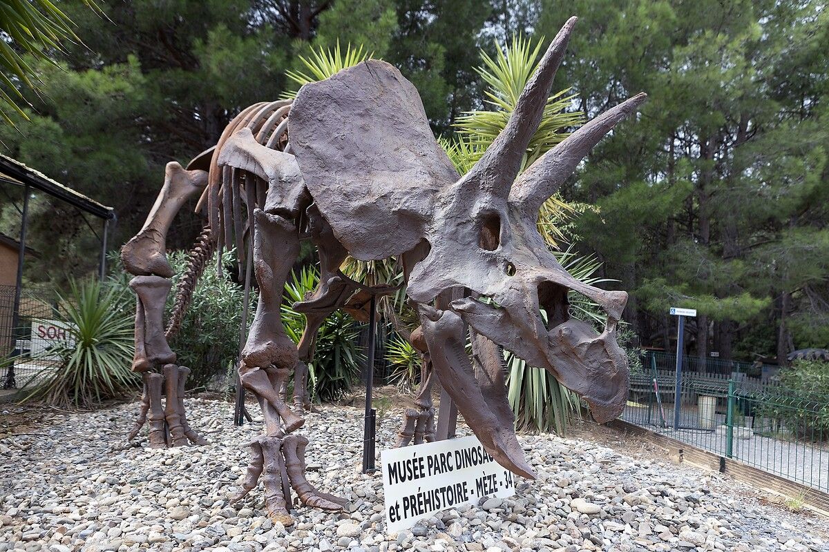 Fransa'da kendinizi Jurassic Park'ta hissettirecek müze: Dinozor ve Tarih Öncesi Müzesi 17