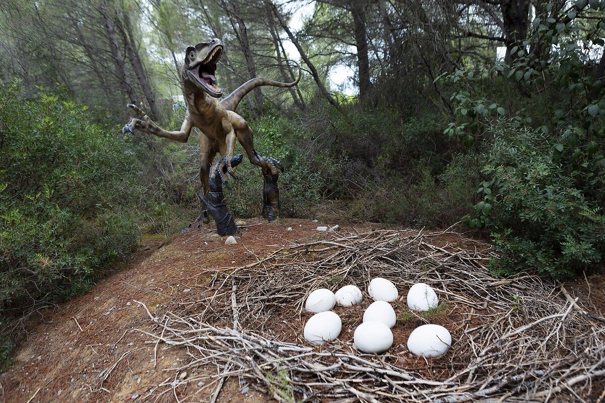 Fransa'da kendinizi Jurassic Park'ta hissettirecek müze: Dinozor ve Tarih Öncesi Müzesi 18
