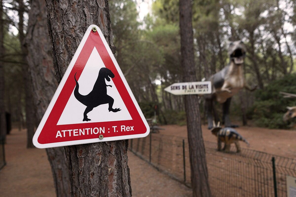 Fransa'da kendinizi Jurassic Park'ta hissettirecek müze: Dinozor ve Tarih Öncesi Müzesi 19