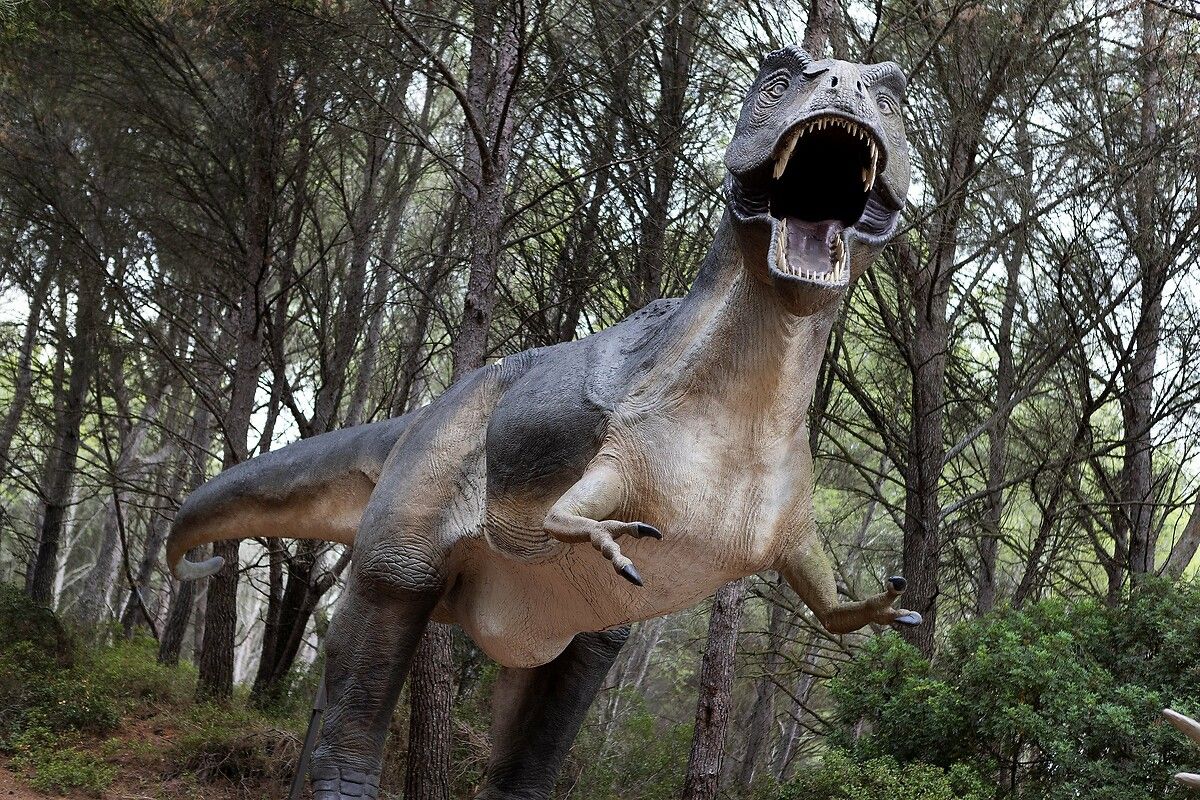 Fransa'da kendinizi Jurassic Park'ta hissettirecek müze: Dinozor ve Tarih Öncesi Müzesi 20