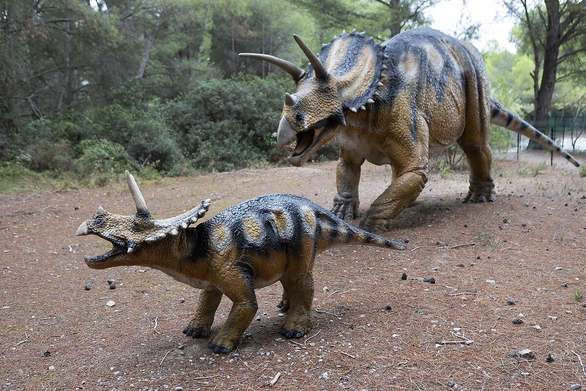 Fransa'da kendinizi Jurassic Park'ta hissettirecek müze: Dinozor ve Tarih Öncesi Müzesi 21