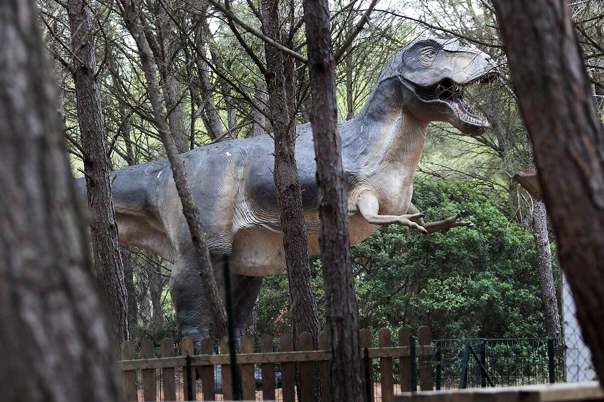 Fransa'da kendinizi Jurassic Park'ta hissettirecek müze: Dinozor ve Tarih Öncesi Müzesi 22