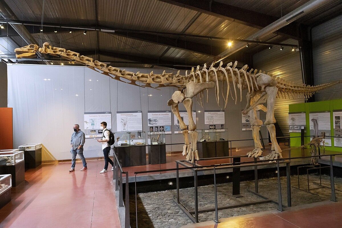 Fransa'da kendinizi Jurassic Park'ta hissettirecek müze: Dinozor ve Tarih Öncesi Müzesi 23
