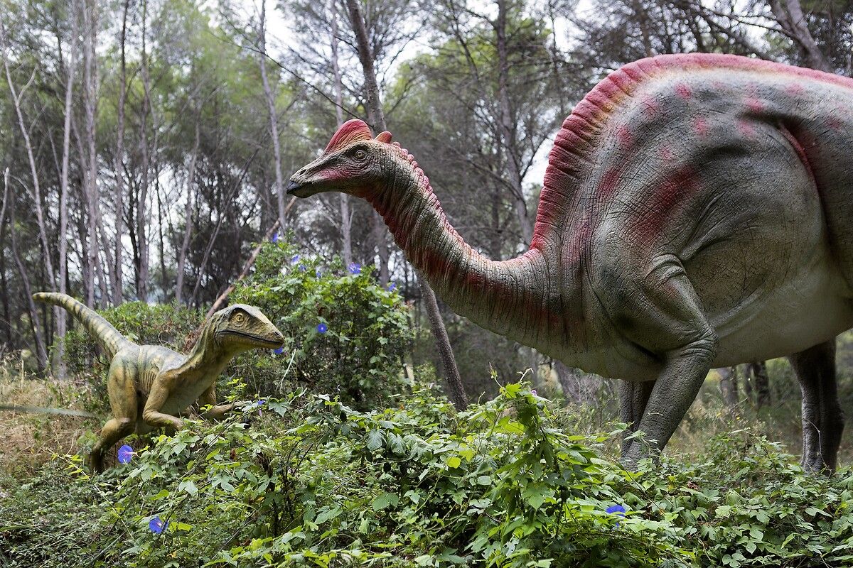 Fransa'da kendinizi Jurassic Park'ta hissettirecek müze: Dinozor ve Tarih Öncesi Müzesi 24