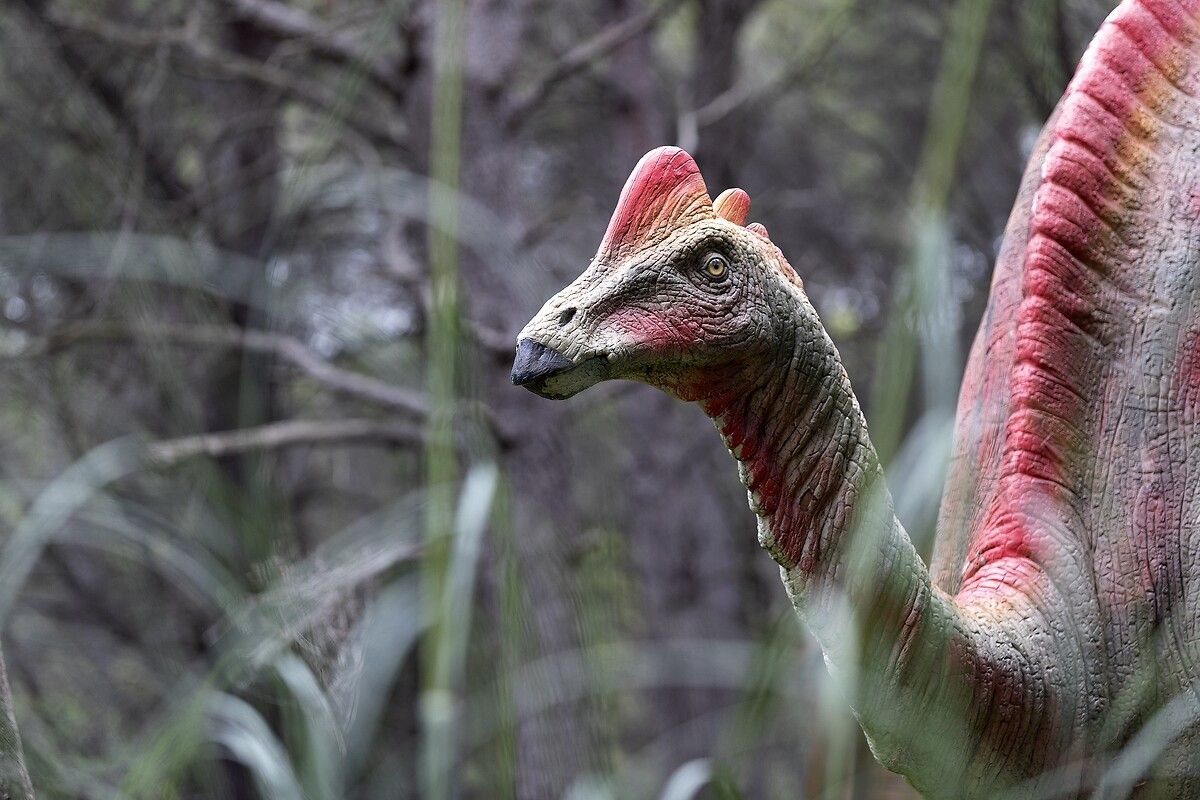 Fransa'da kendinizi Jurassic Park'ta hissettirecek müze: Dinozor ve Tarih Öncesi Müzesi 25