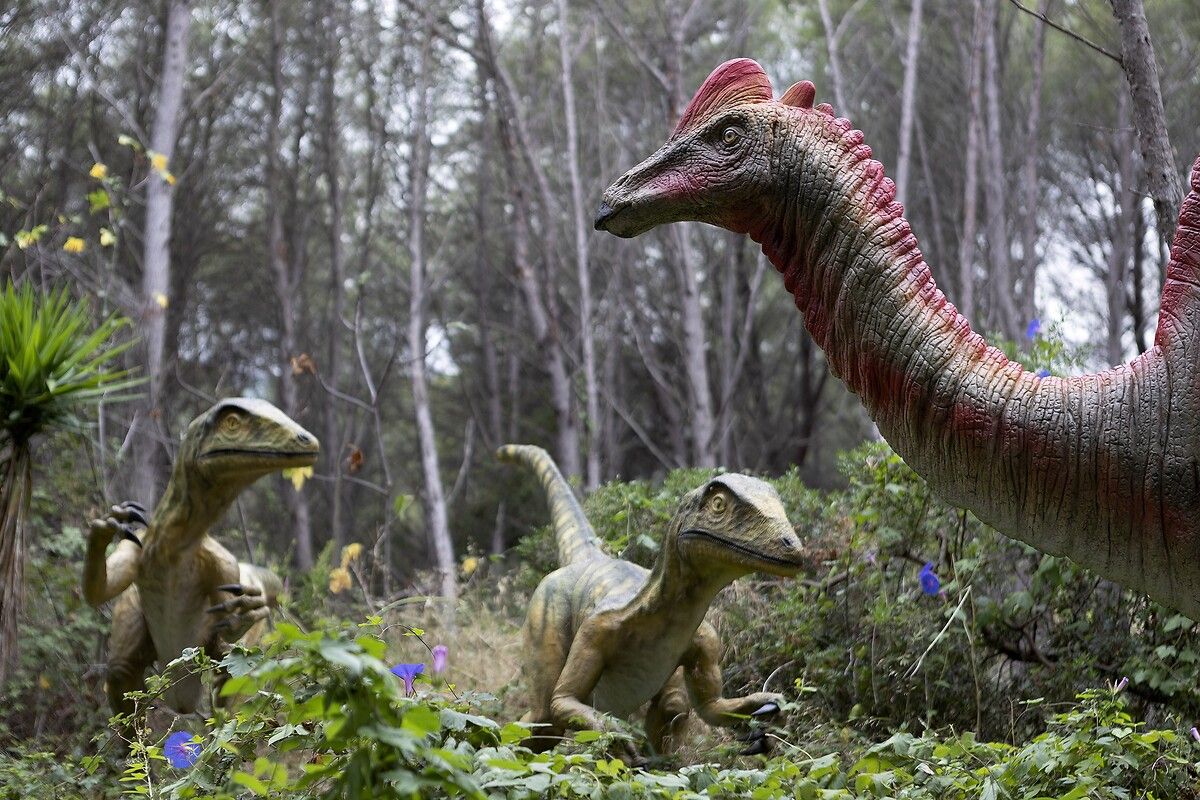 Fransa'da kendinizi Jurassic Park'ta hissettirecek müze: Dinozor ve Tarih Öncesi Müzesi 26