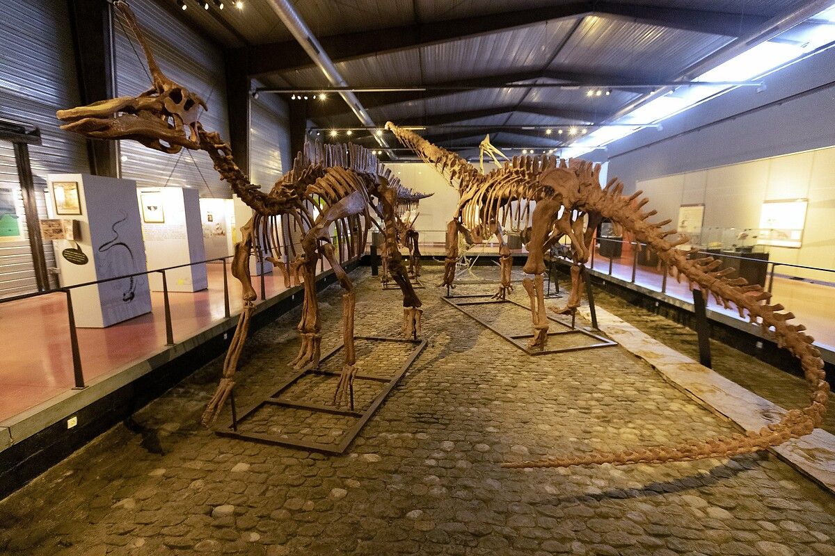 Fransa'da kendinizi Jurassic Park'ta hissettirecek müze: Dinozor ve Tarih Öncesi Müzesi 27