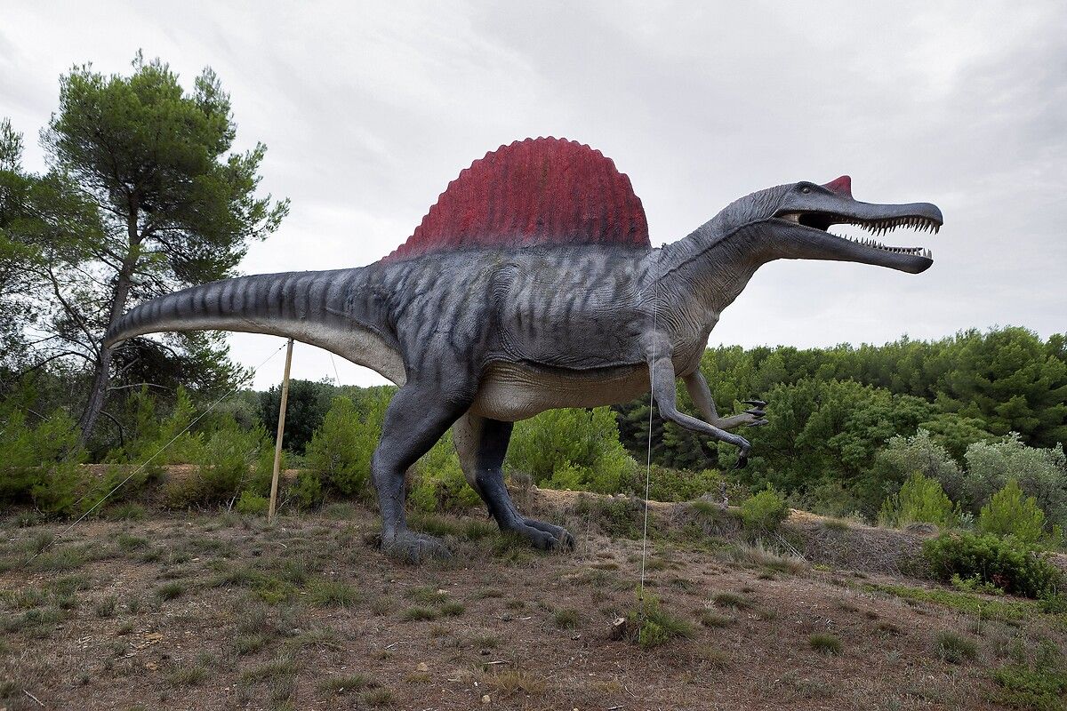 Fransa'da kendinizi Jurassic Park'ta hissettirecek müze: Dinozor ve Tarih Öncesi Müzesi 28