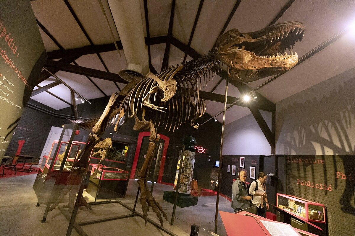 Fransa'da kendinizi Jurassic Park'ta hissettirecek müze: Dinozor ve Tarih Öncesi Müzesi 29