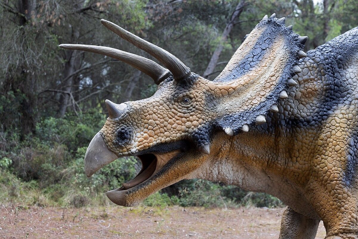 Fransa'da kendinizi Jurassic Park'ta hissettirecek müze: Dinozor ve Tarih Öncesi Müzesi 30