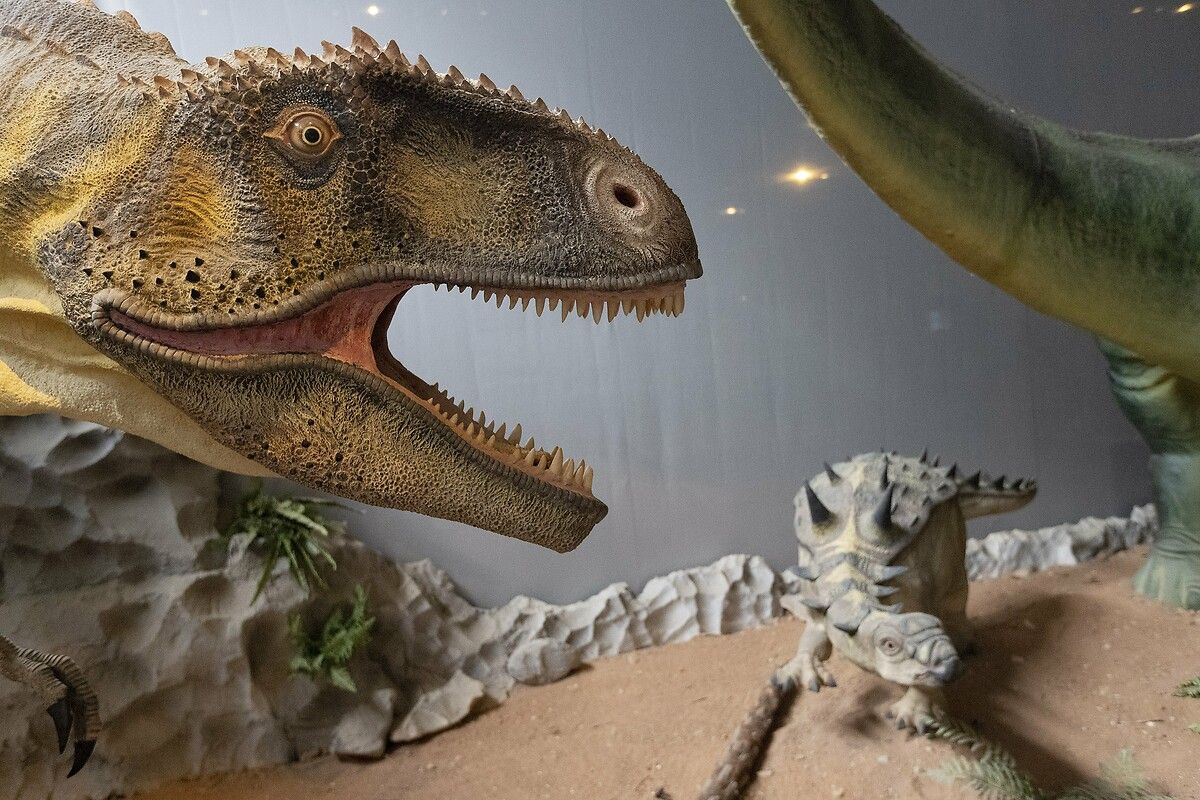 Fransa'da kendinizi Jurassic Park'ta hissettirecek müze: Dinozor ve Tarih Öncesi Müzesi 31
