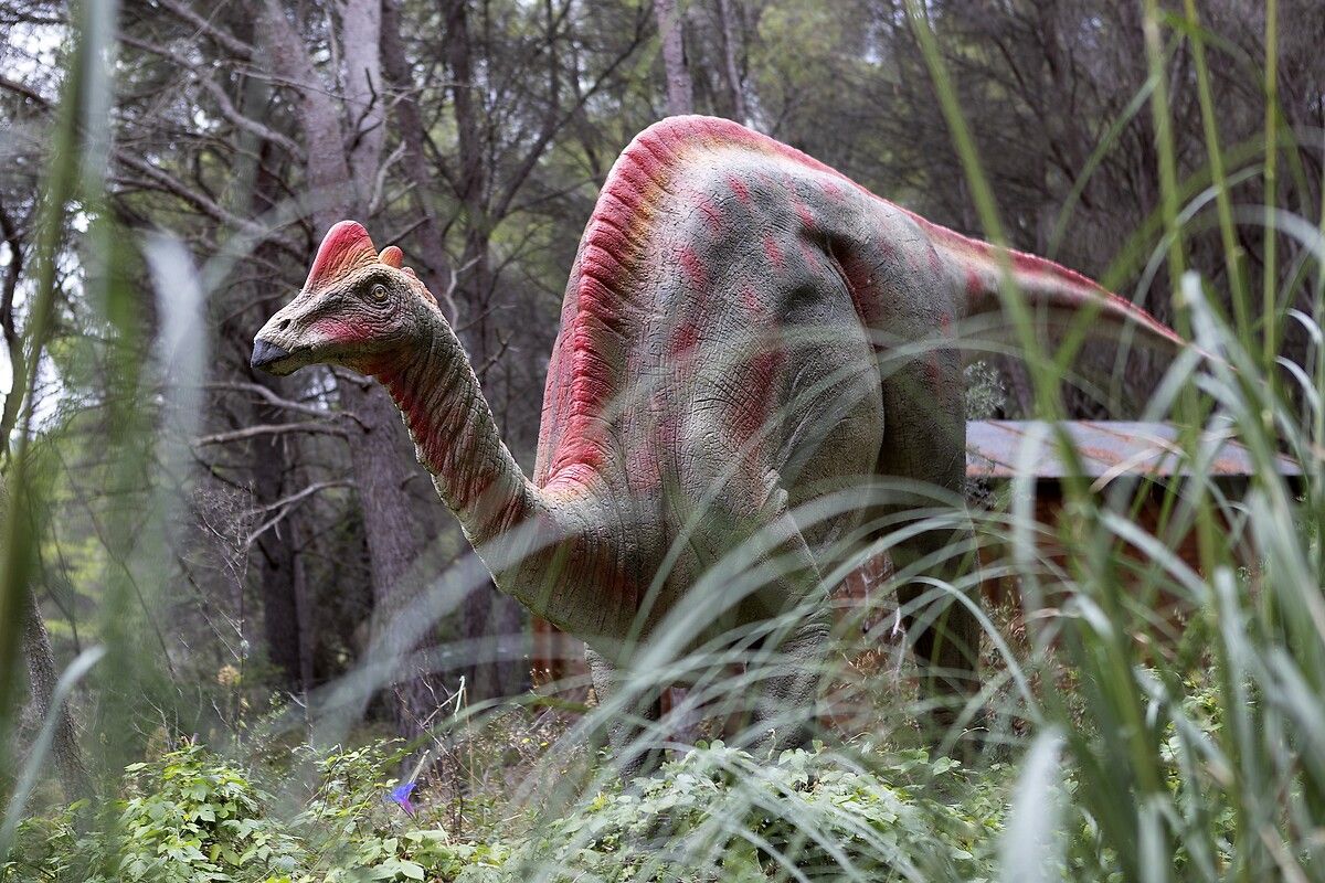 Fransa'da kendinizi Jurassic Park'ta hissettirecek müze: Dinozor ve Tarih Öncesi Müzesi 32