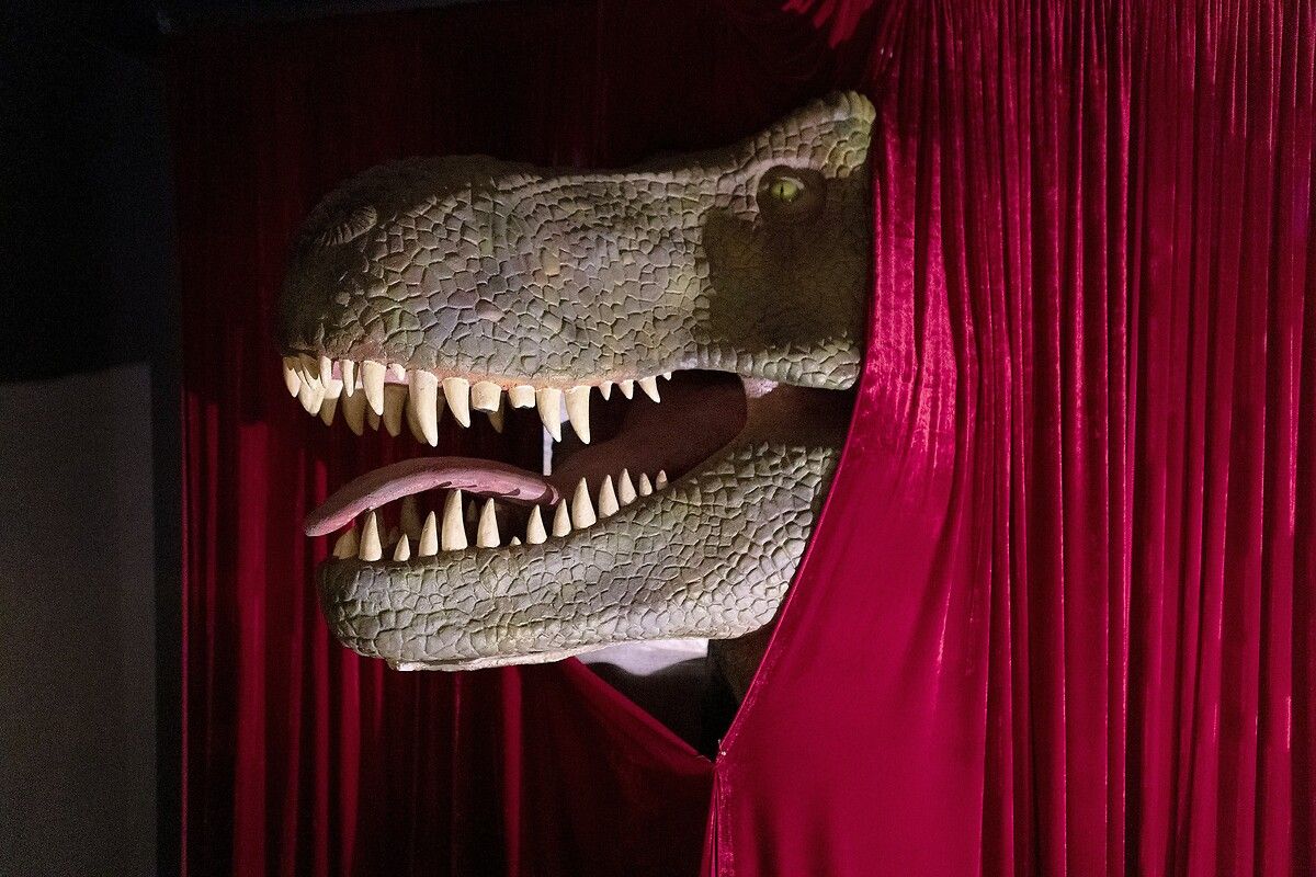 Fransa'da kendinizi Jurassic Park'ta hissettirecek müze: Dinozor ve Tarih Öncesi Müzesi 33