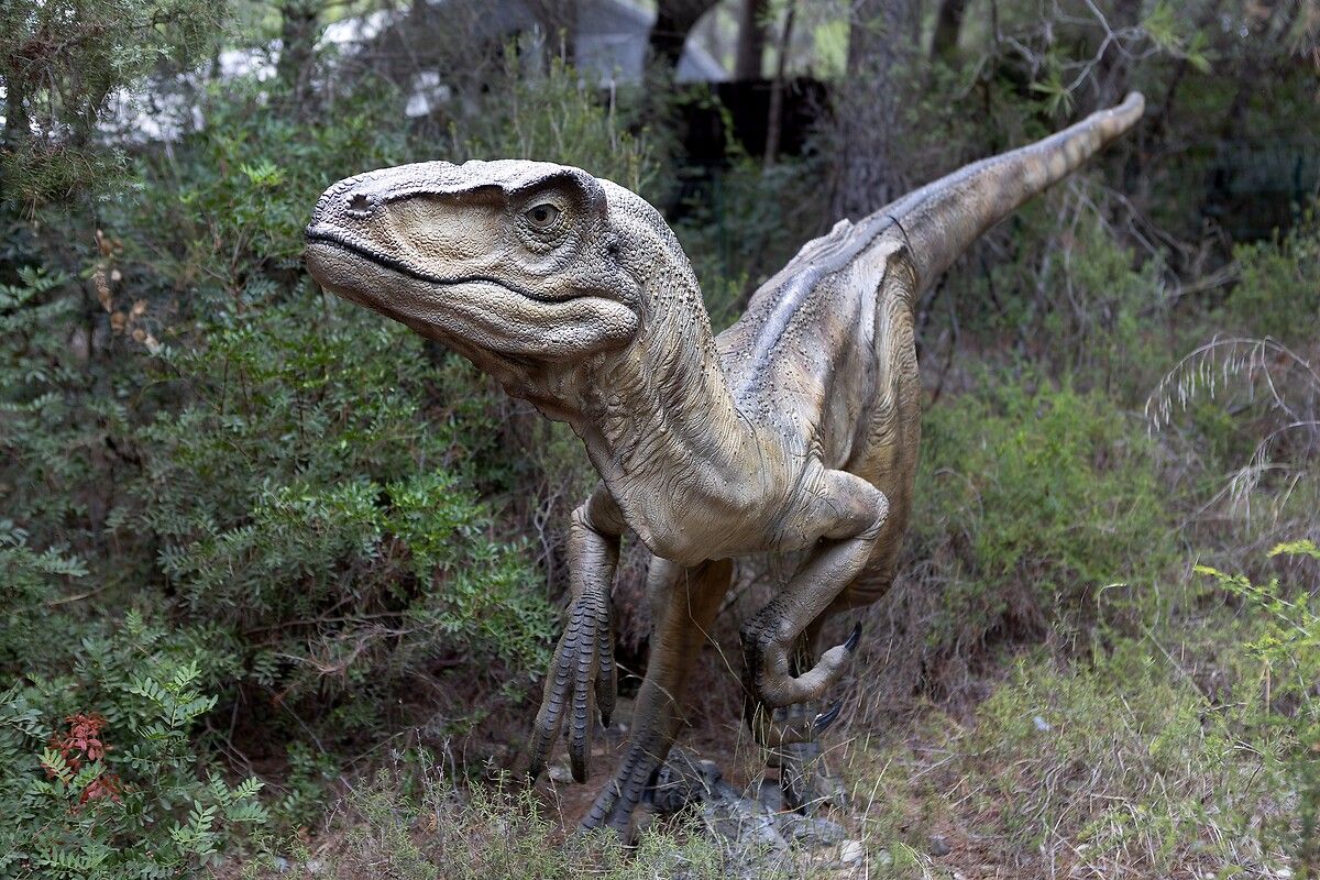 Fransa'da kendinizi Jurassic Park'ta hissettirecek müze: Dinozor ve Tarih Öncesi Müzesi 34