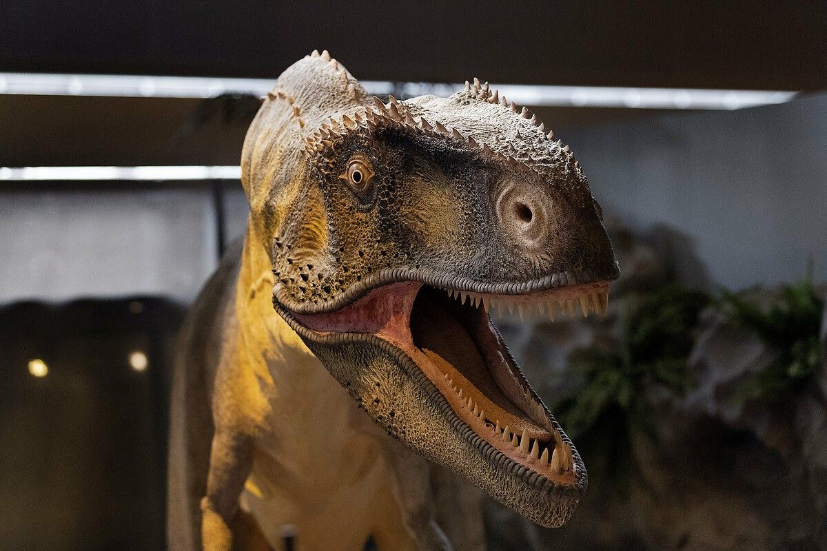 Fransa'da kendinizi Jurassic Park'ta hissettirecek müze: Dinozor ve Tarih Öncesi Müzesi 35