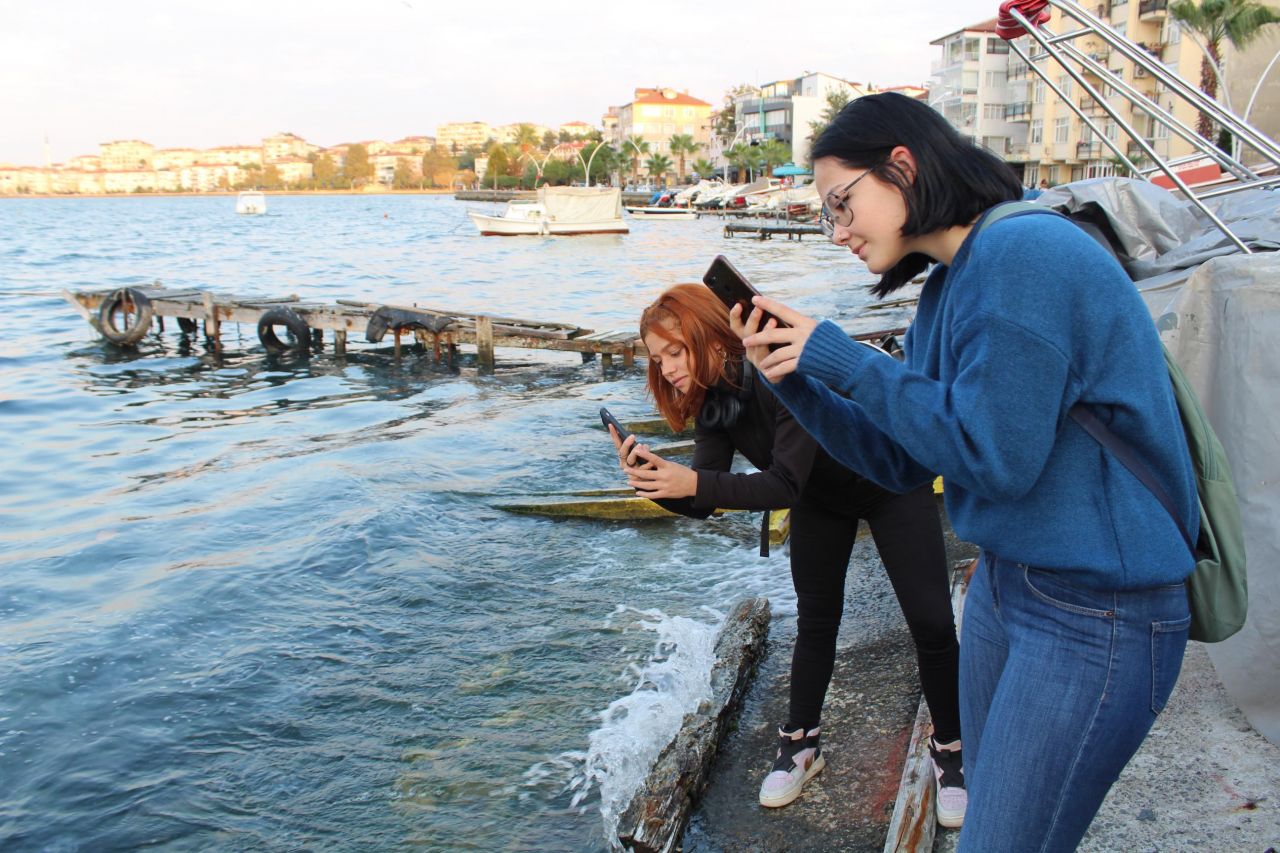 Gölcük sahilinde ürküten görüntü! Kıyı şeridi denizanasıyla kaplandı 3