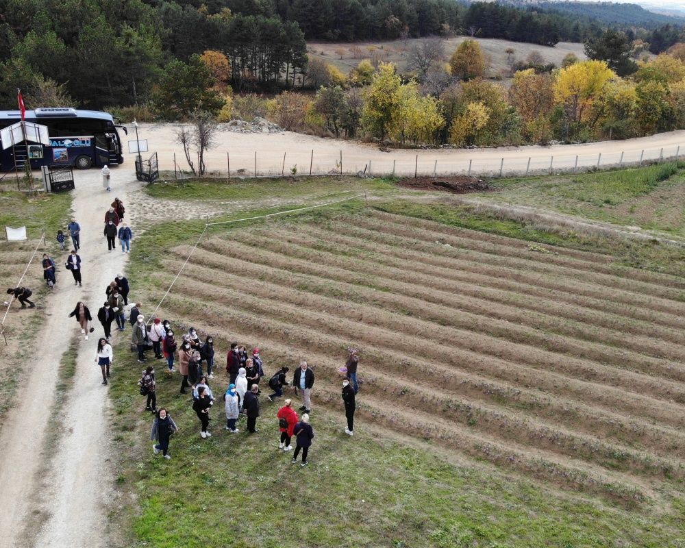 Ekim ve Kasım ayında gidebileceğiniz doğal fotoğraf platosu: Karabük safran tarlaları 5