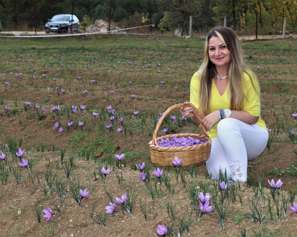 Ekim ve Kasım ayında gidebileceğiniz doğal fotoğraf platosu: Karabük safran tarlaları 12
