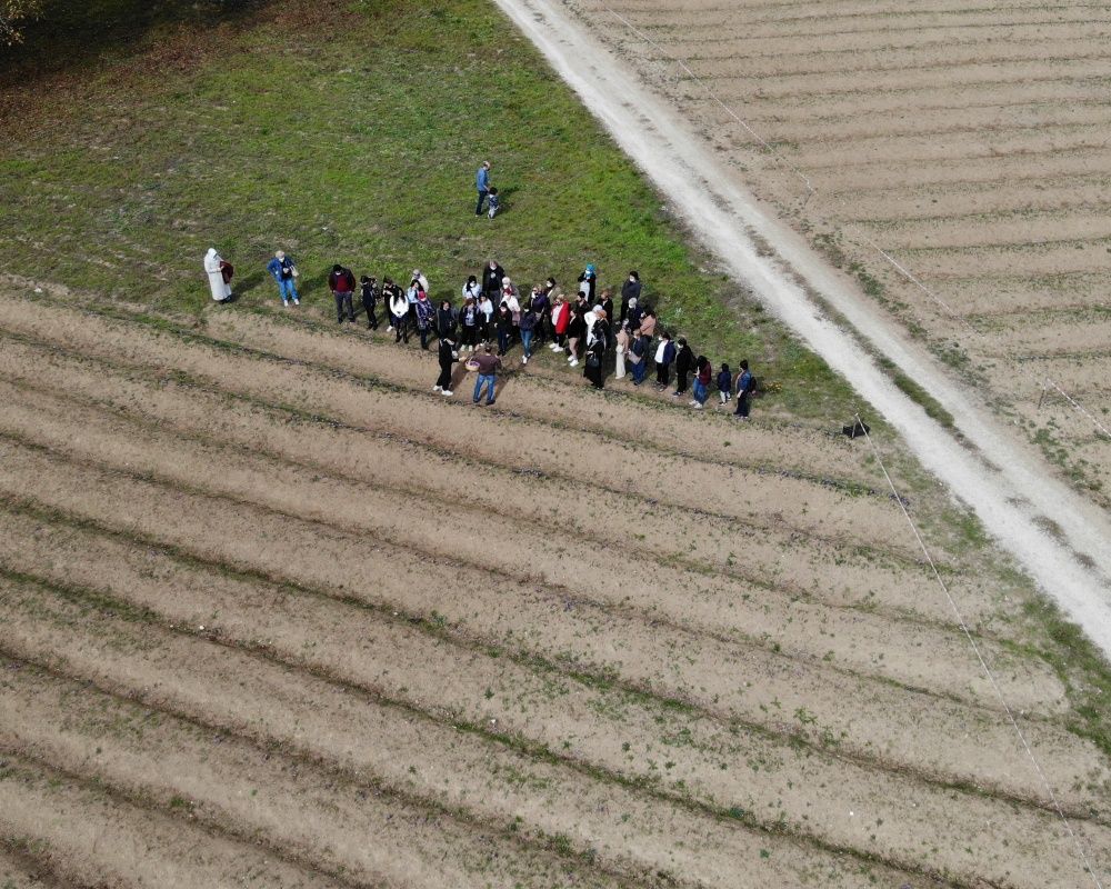Ekim ve Kasım ayında gidebileceğiniz doğal fotoğraf platosu: Karabük safran tarlaları 10