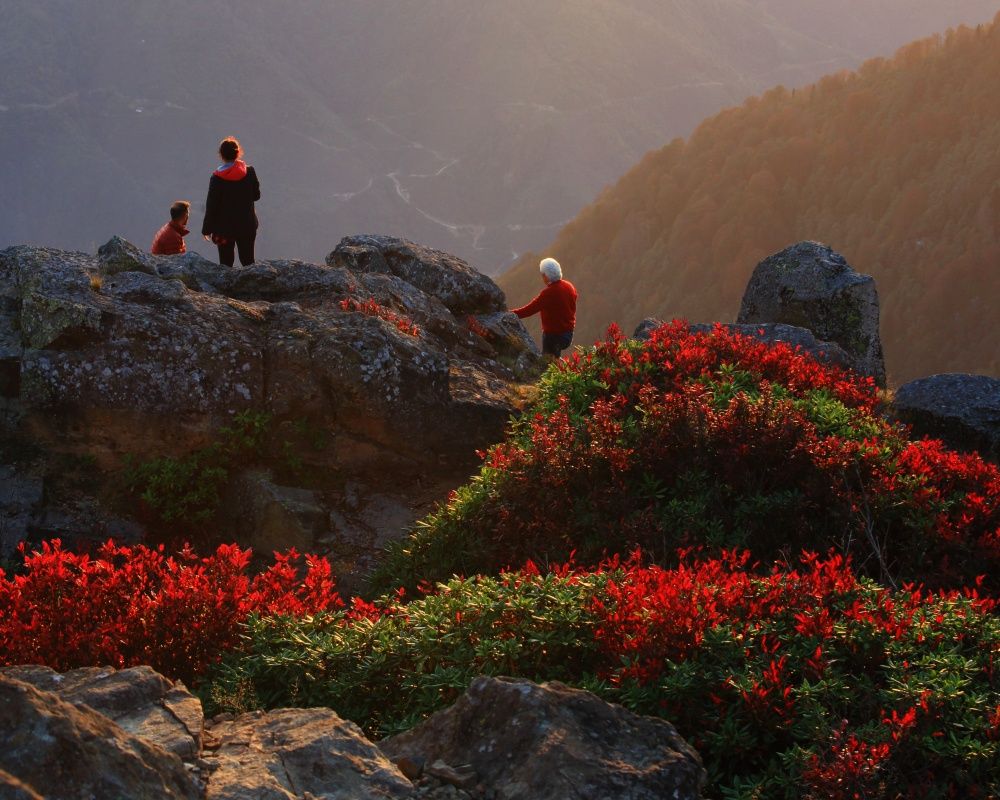 Fotoğraf tutkunlarının Karadeniz'deki ilk adreslerinden biri: 'Sis Dağı Yaylası' 8