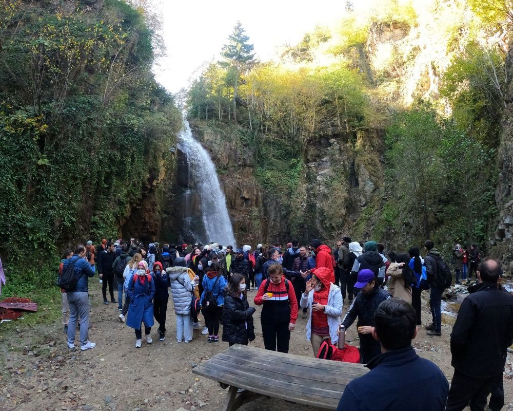 Yüzlerce yıllık devasa ağaçlara ev sahipliği yapan 'canlı ağaç müzesi' Örümcek Ormanları'nda sonbahar 15