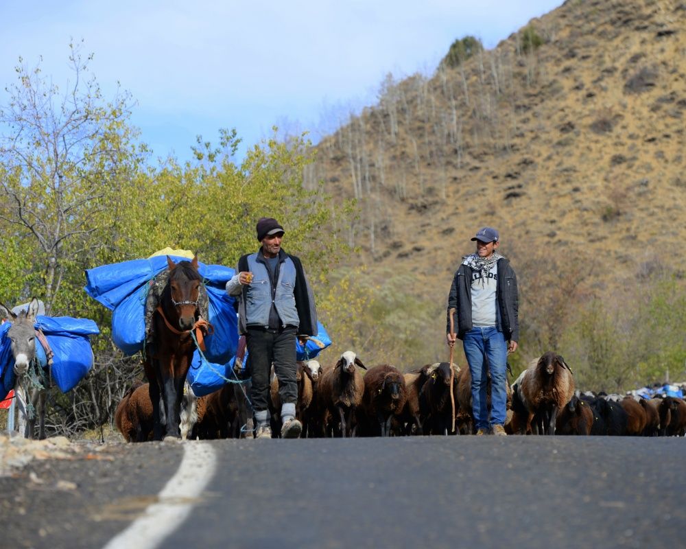 Bingöl'ün Yedisu ilçesinde sonbahar güzelliği 6