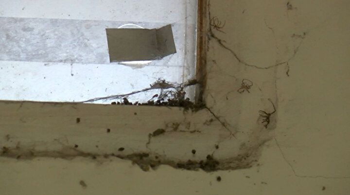 Kadıköy'de penceresiz 'doğa manzaralı' ev için istenen kira hayrete düşürdü!  Emlakçı 'Rağbet çok, beğenmeyen gelmesin' diyor! 6