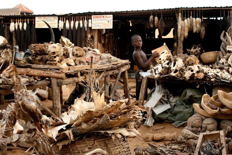 Togo'da dünyanın en ürkütücü pazarı: Akodessewa Pazarı 4
