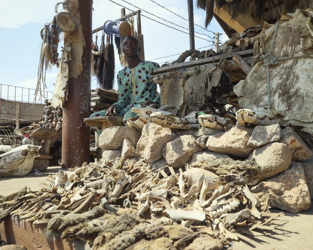 Togo'da dünyanın en ürkütücü pazarı: Akodessewa Pazarı 10