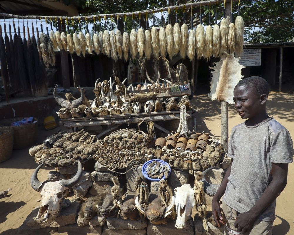 Togo'da dünyanın en ürkütücü pazarı: Akodessewa Pazarı 12