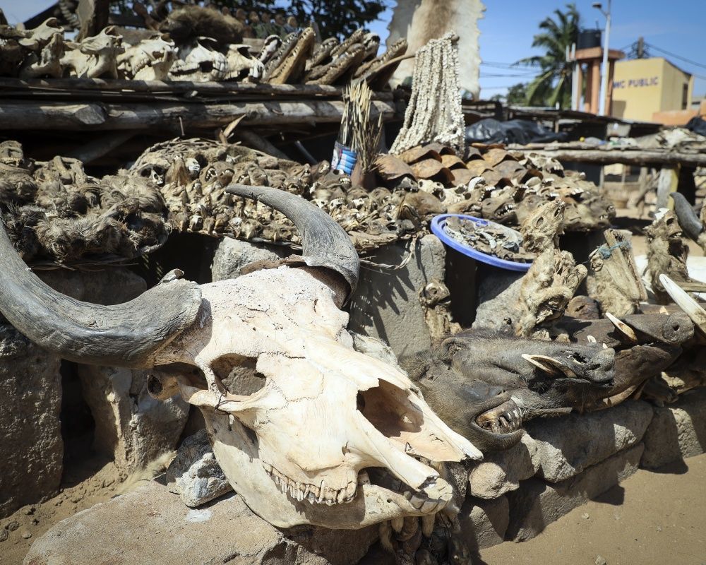 Togo'da dünyanın en ürkütücü pazarı: Akodessewa Pazarı 14