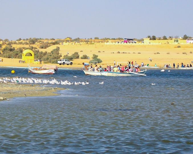 Şehrin kalabalığından uzak renkli bir tatil merkezi: Mısır çölünde oluşan doğa harikası "Reyyan Vadisi Şelalesi" 1