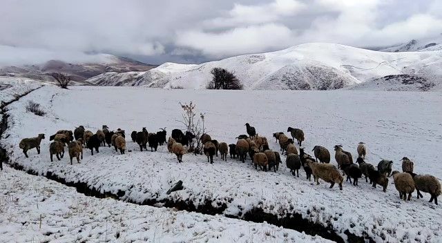Kar Yüksekova'yı beyaza bürüdü... Kar kalınlığı 5 santimi buldu 1