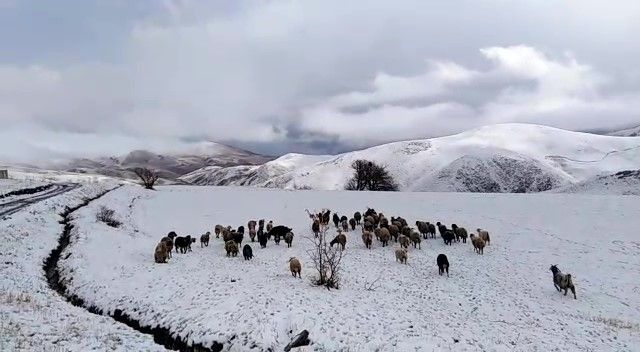 Kar Yüksekova'yı beyaza bürüdü... Kar kalınlığı 5 santimi buldu 7