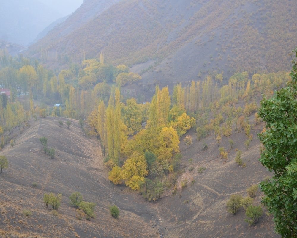 Şırnak’ta Karadeniz'i aratmayan manzara 1