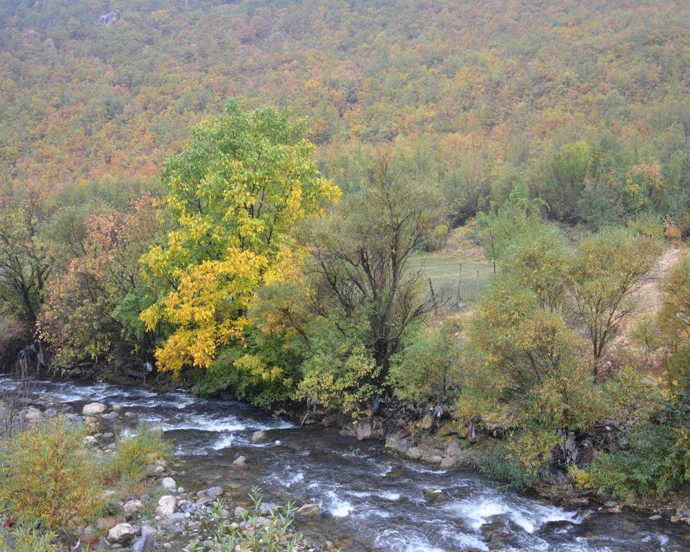 Şırnak’ta Karadeniz'i aratmayan manzara 10