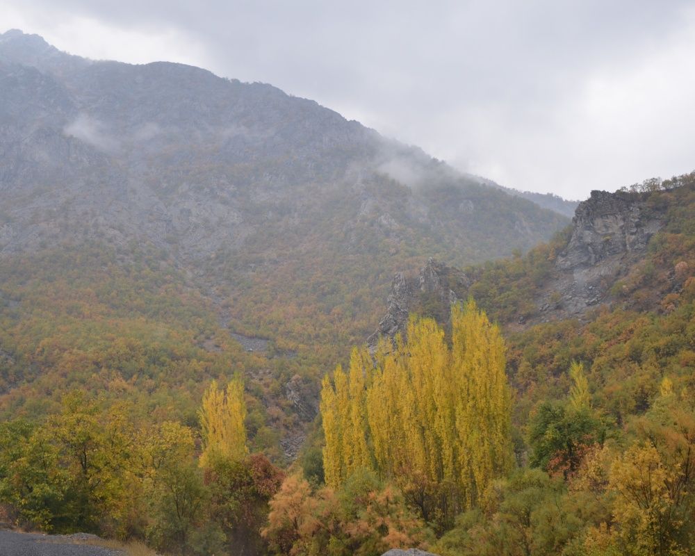 Şırnak’ta Karadeniz'i aratmayan manzara 12