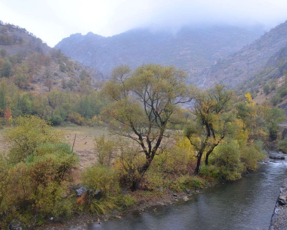 Şırnak’ta Karadeniz'i aratmayan manzara 13