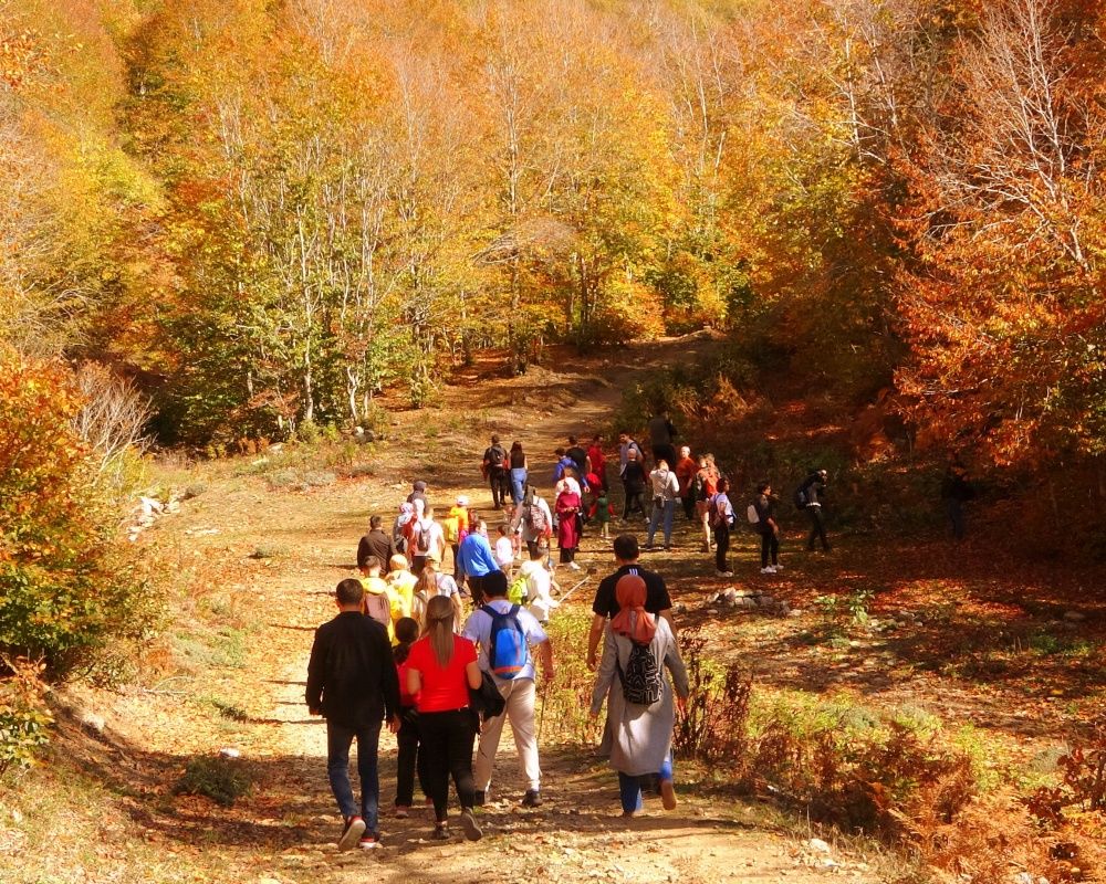 Renk cümbüşüne bürünen Dumanlı Yaylası, doğaseverlerin vazgeçilmezi oldu 4