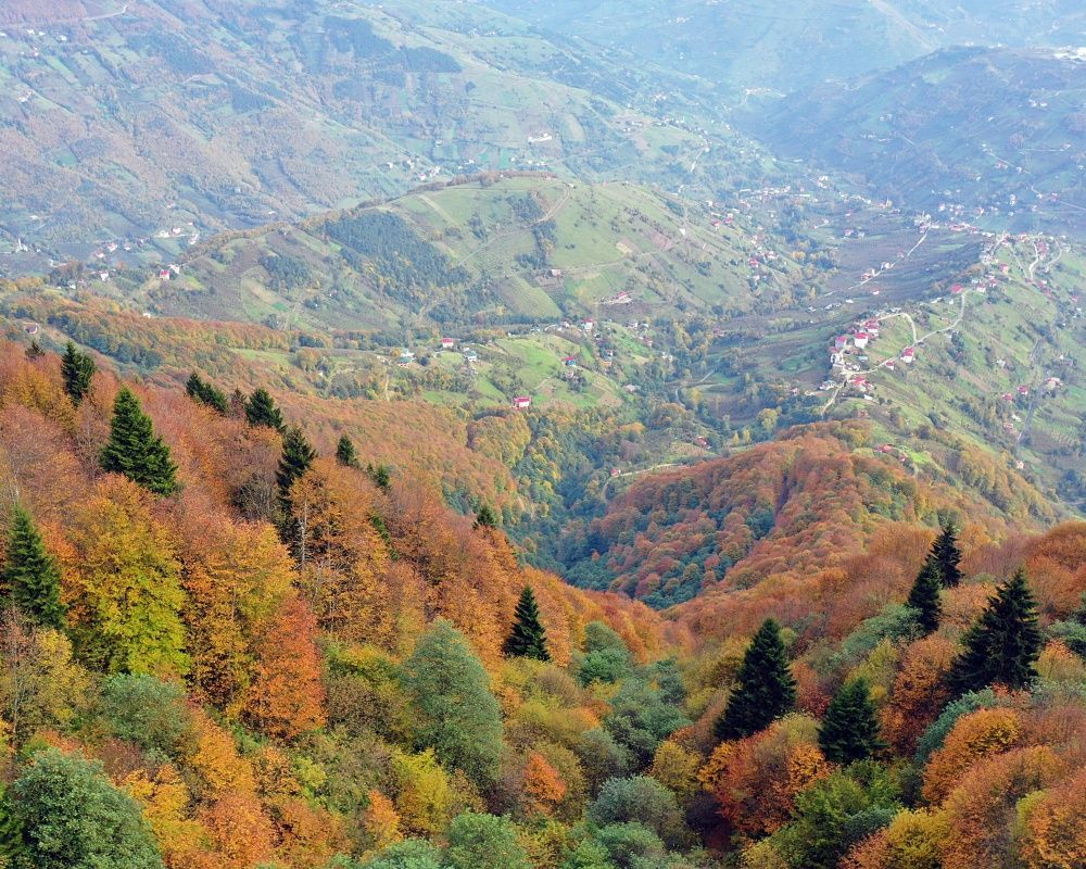 Trabzon'un 1600 rakımlı Hıdırnebi Yaylası'nda güz zamanı 4