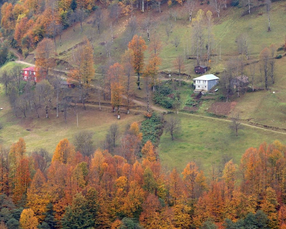 Trabzon'un 1600 rakımlı Hıdırnebi Yaylası'nda güz zamanı 6