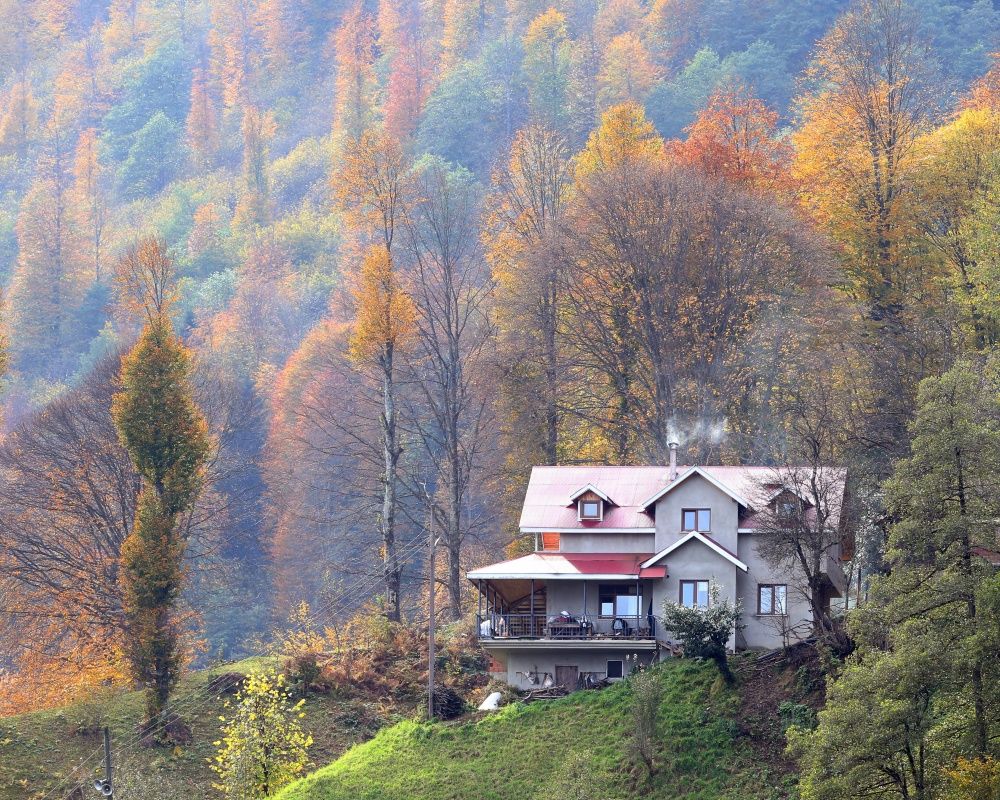Trabzon'un 1600 rakımlı Hıdırnebi Yaylası'nda güz zamanı 7