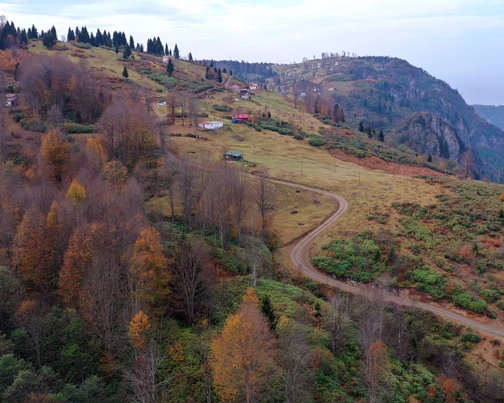 Trabzon'un 1600 rakımlı Hıdırnebi Yaylası'nda güz zamanı 12