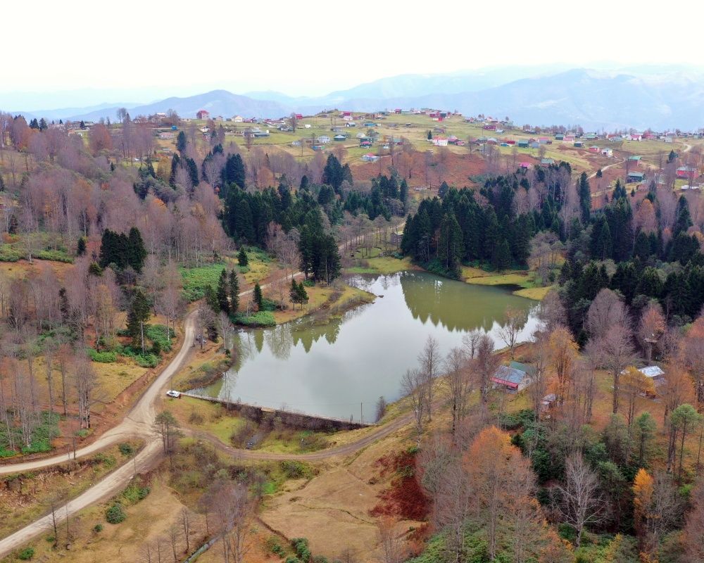 Trabzon'un 1600 rakımlı Hıdırnebi Yaylası'nda güz zamanı 14