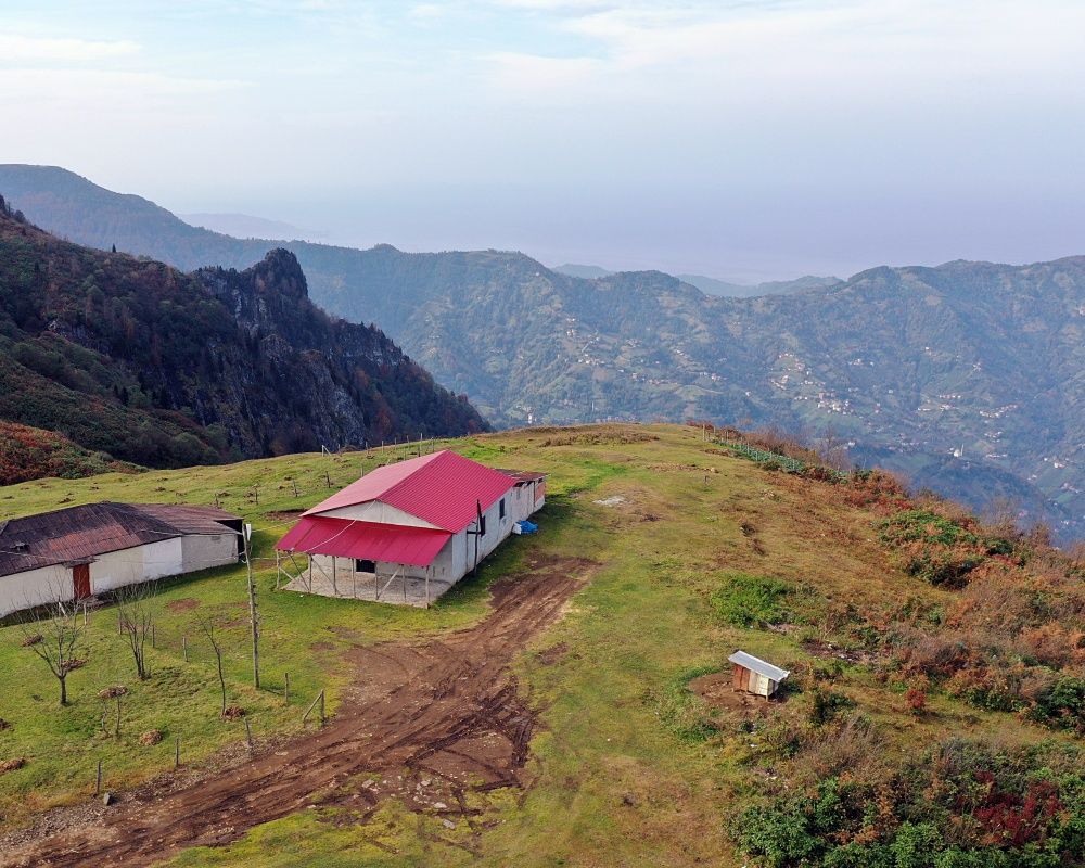 Trabzon'un 1600 rakımlı Hıdırnebi Yaylası'nda güz zamanı 15