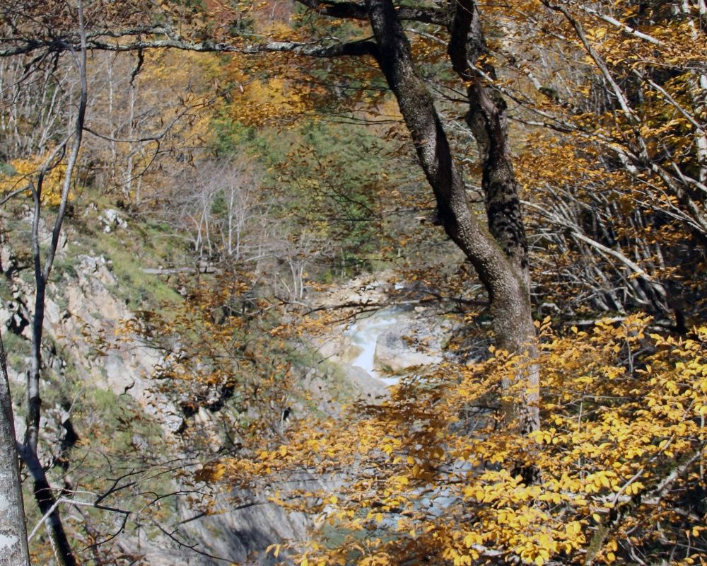 Mavi Göl'de du dönemde doğanın tüm renklerini görmek mümkün 4