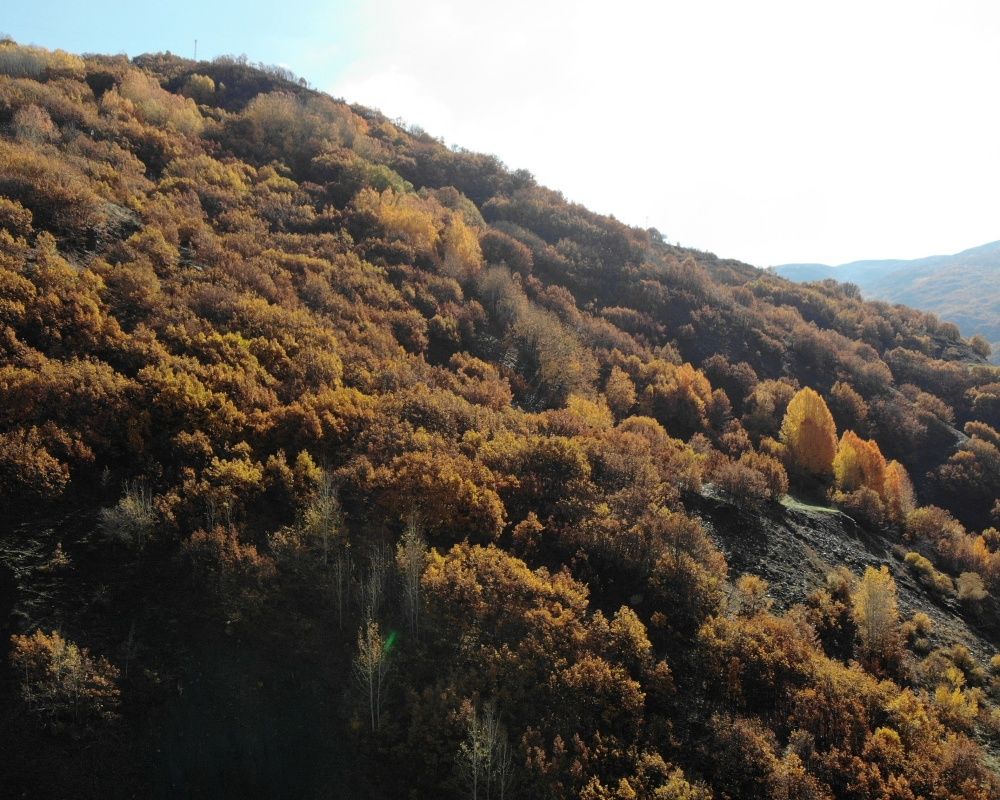 Muş'un Derecik Köyü fotoğraf sanatçılarının ilgi odağı oldu 2