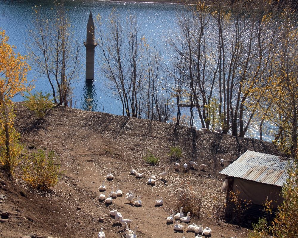 Sivas'ta baraj suyu çekildi, cami minaresi ortaya çıktı 13
